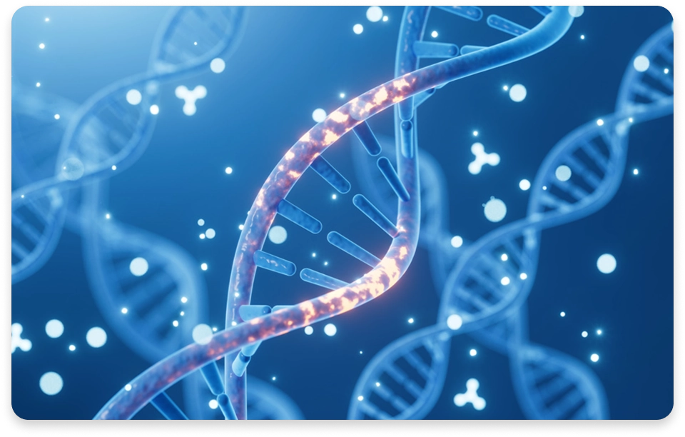 遺伝子検査 × 腸活サポート